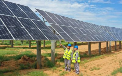 OPED Project Syndicate: Is the Net-Zero Transition Endangering the Asian Century?